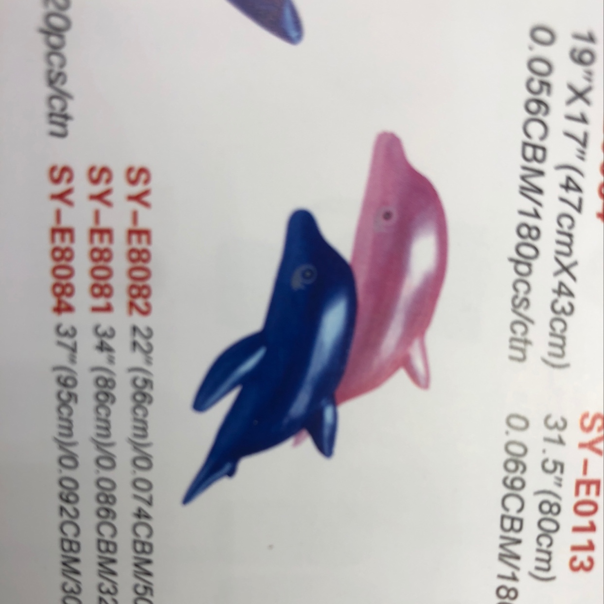 Dolphin