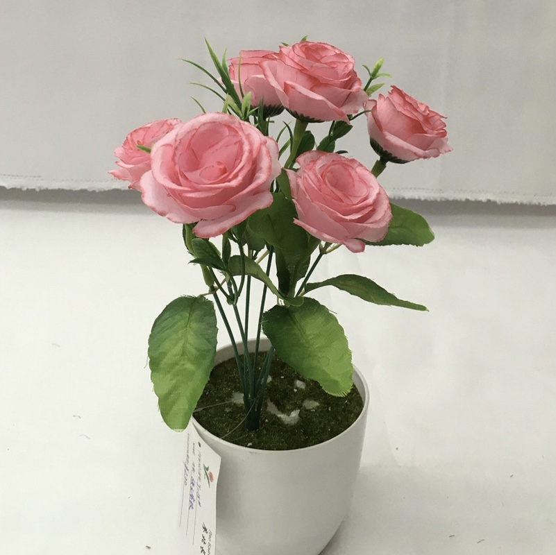 6 head roses thumbnail