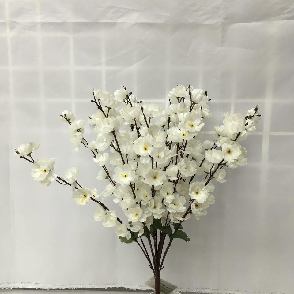 White peach blossom thumbnail