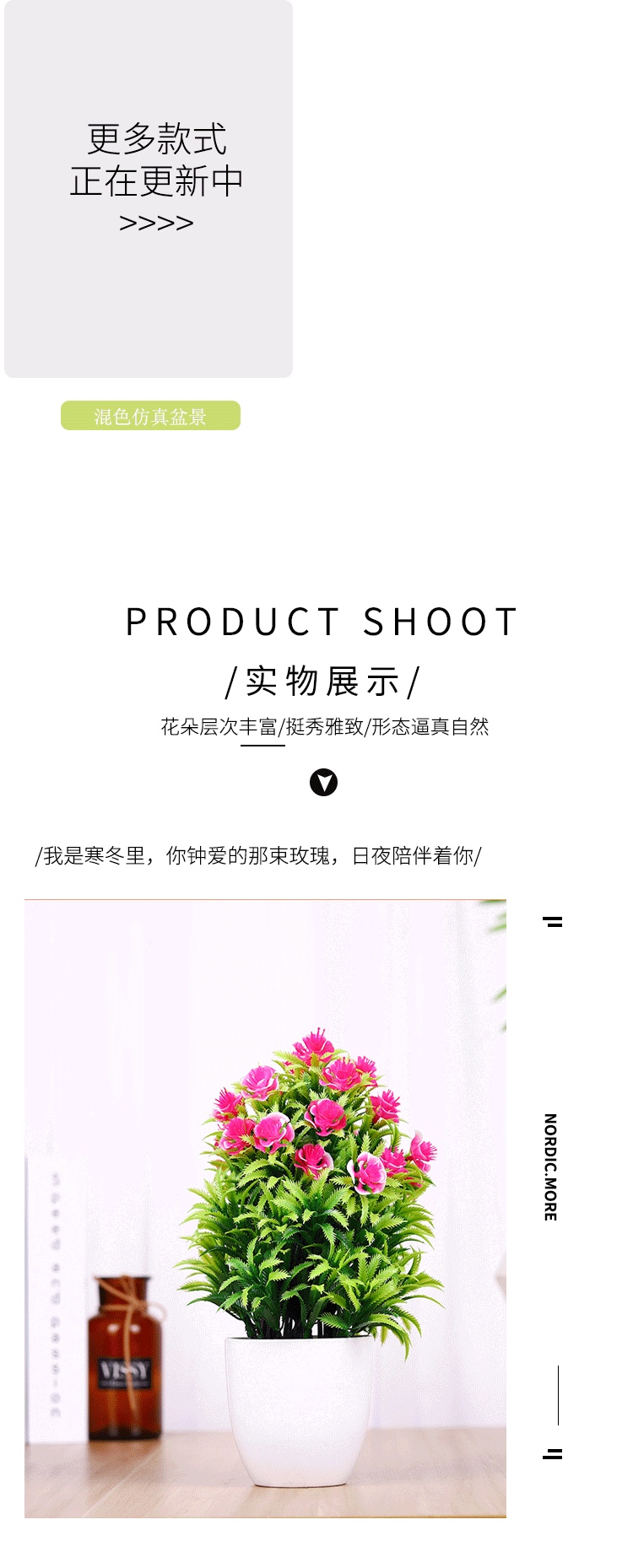 Cross-border exclusive supply of small micro-landscape desktop tree flowers detail image 3