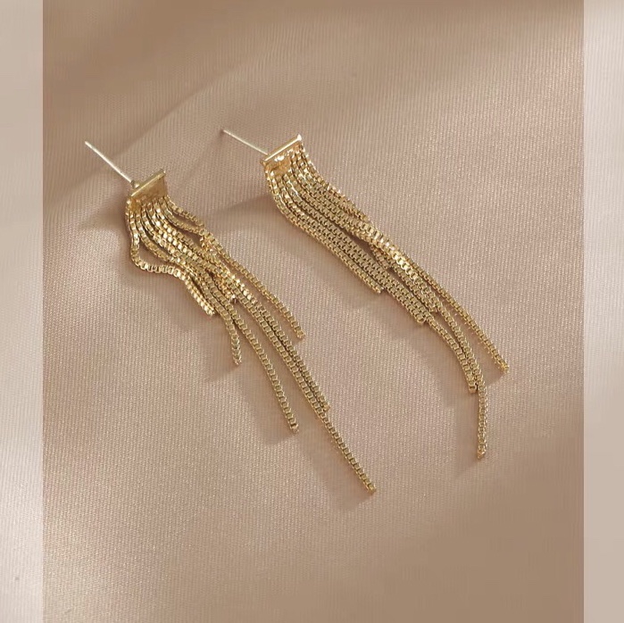 Bohemian ethnic style retro retro fashion personality trend earrings