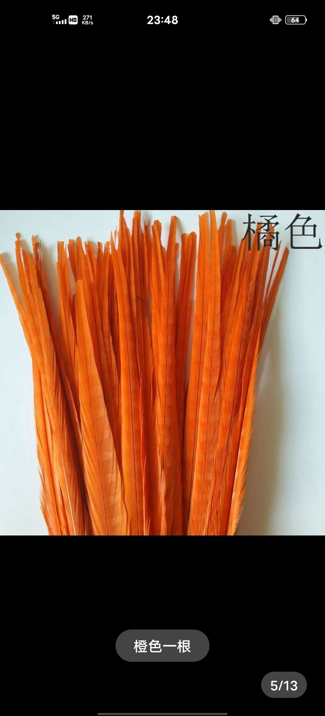 山鸡尾40~45公分脱染草绿色白底实物图