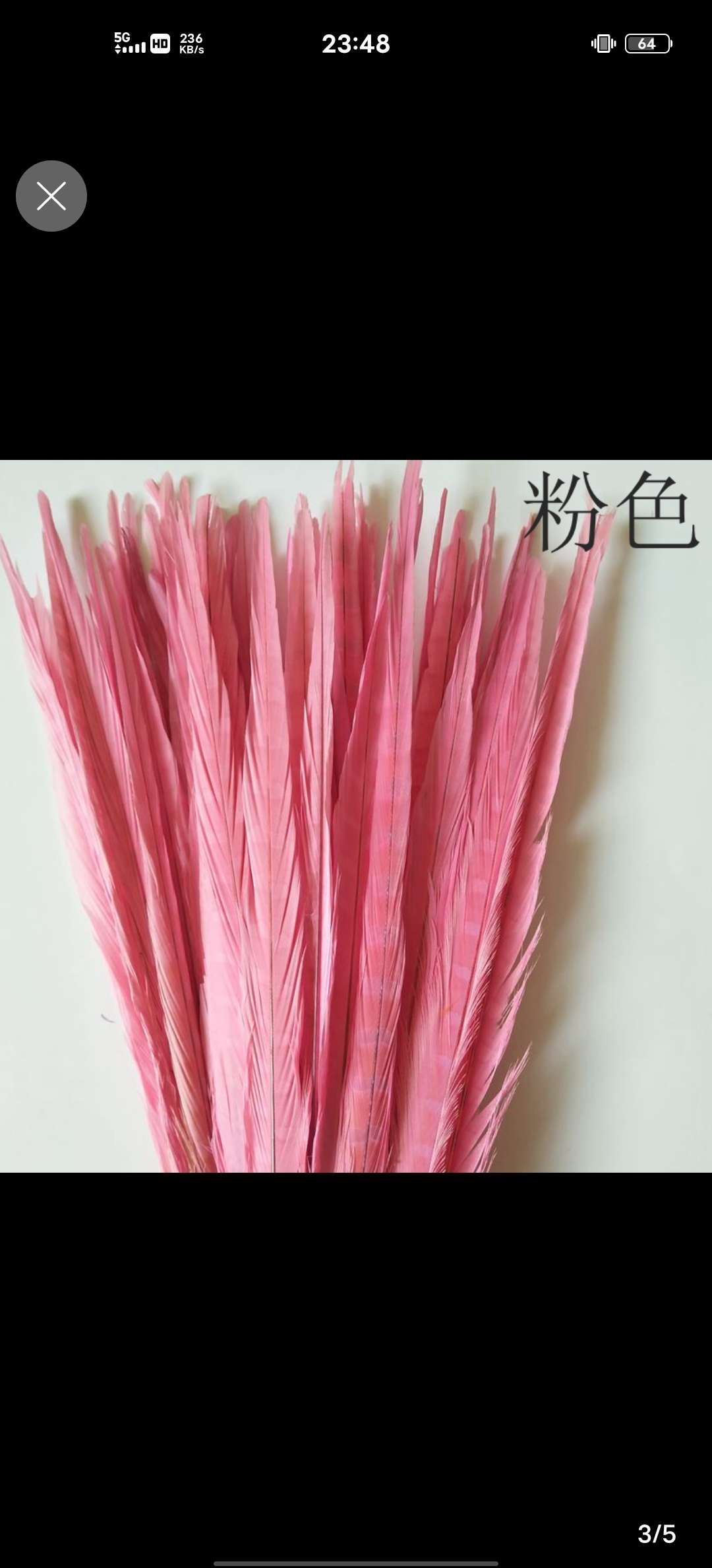 山鸡尾30-35公分脱染绿色产品图
