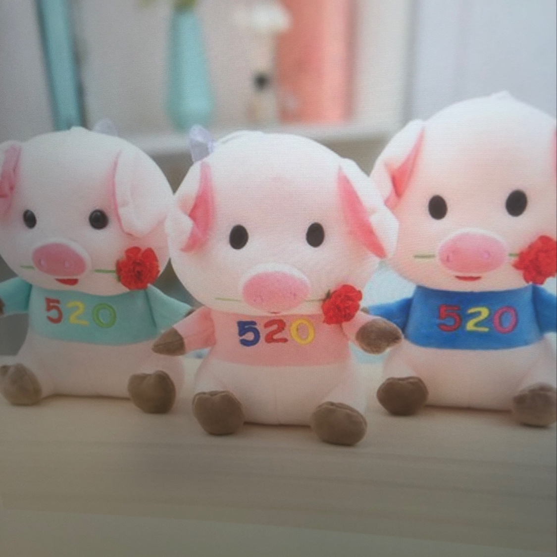 520猪