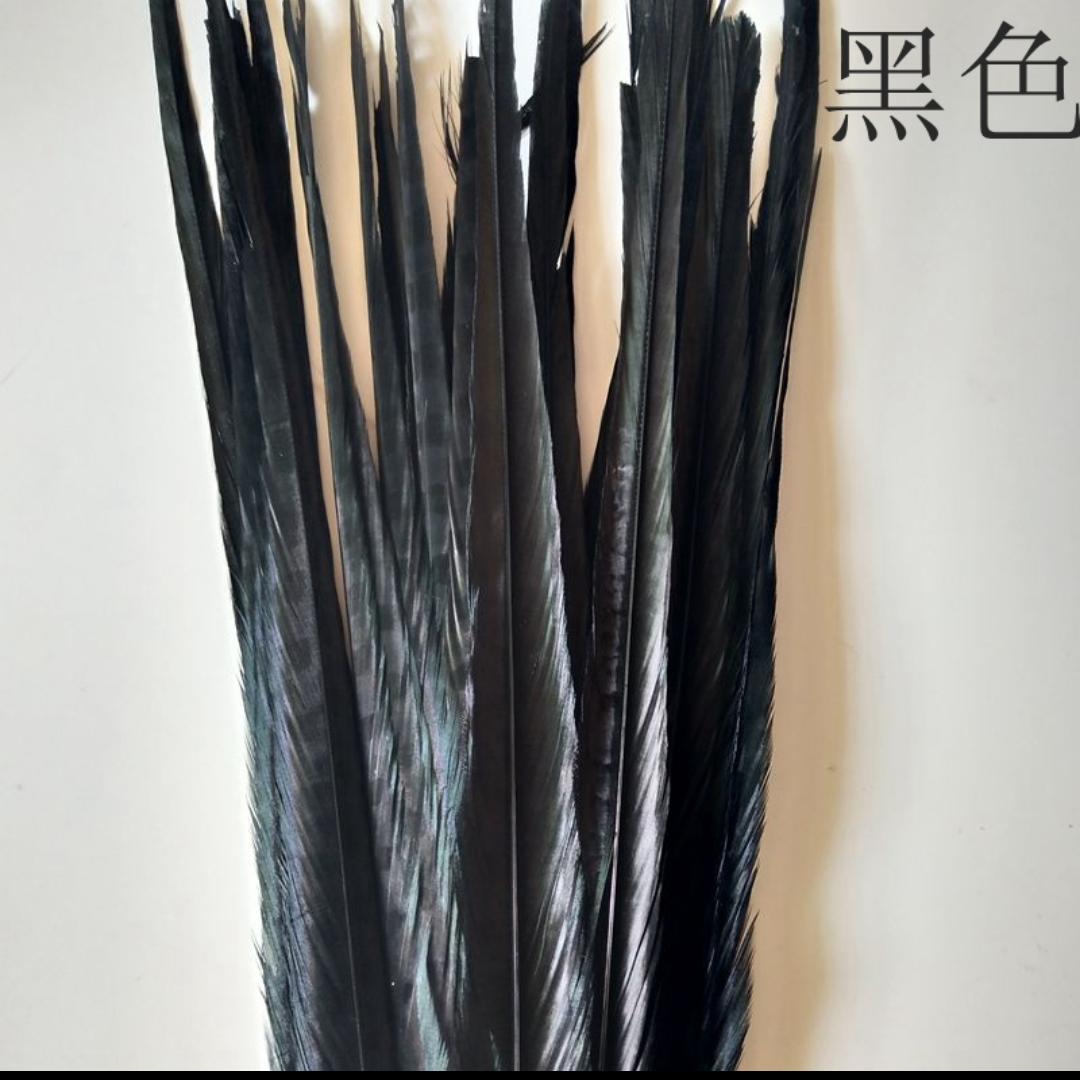 山鸡尾30-35公分脱染黑色