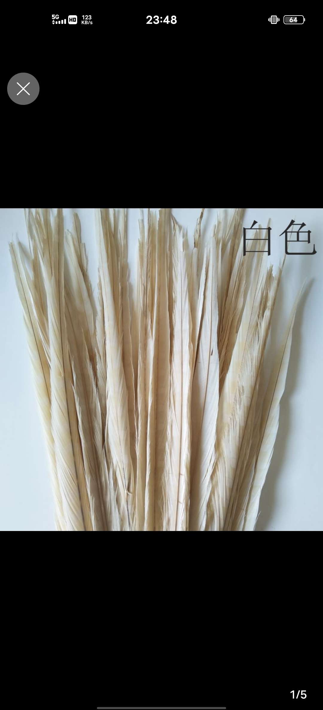 山鸡尾20-25公分脱染白色产品图