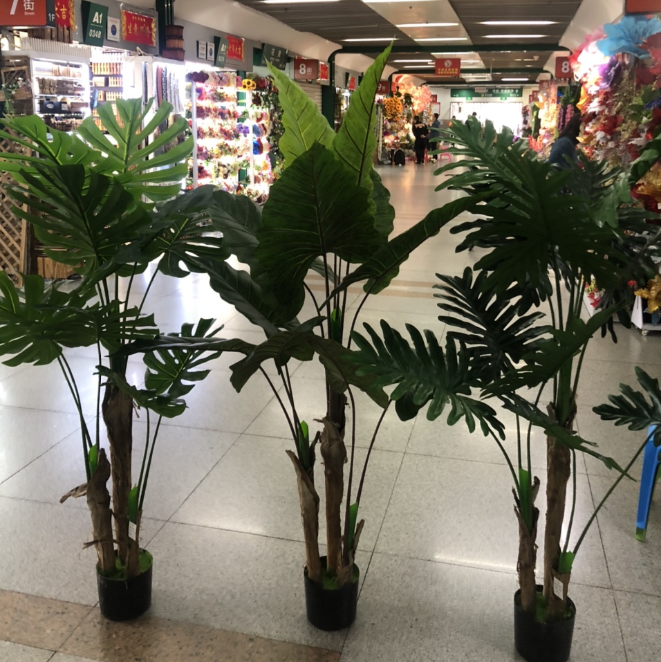 Three round calla lilies with 11 leaves