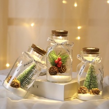 圣诞松果仿真迷你圣诞树雪花微景观玻璃摆件LED礼品许愿瓶 