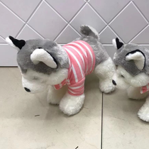 Dream plush toy manufacturers direct sales boutique dolls dressed Husky No. 3