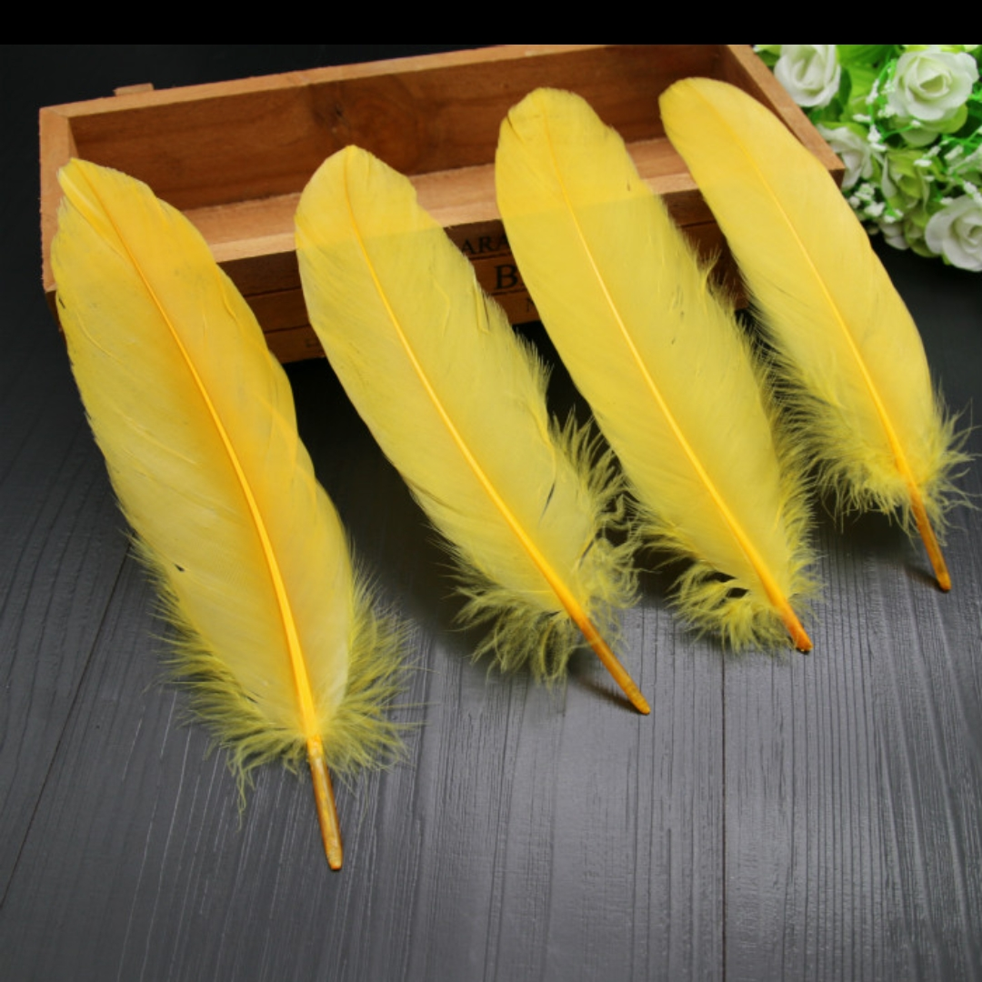 Goose feathers are hard and golden