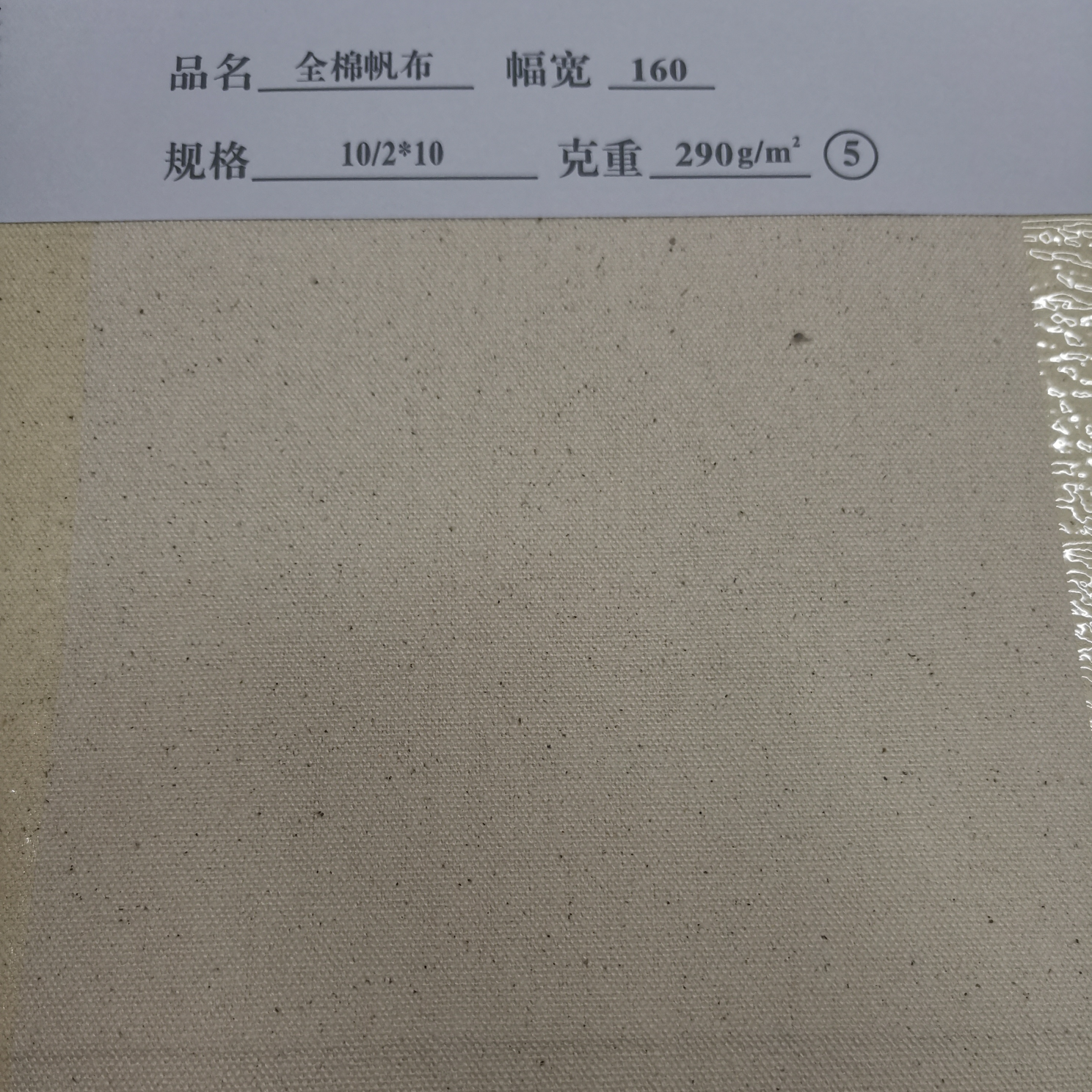 帆布5  厂家直销批发零售现货下单请咨询