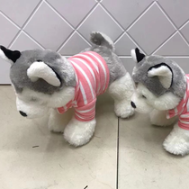 Dream plush toy manufacturers direct sales boutique dolls dressed Husky 2