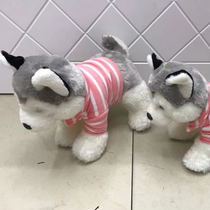 Dream plush toy manufacturers direct sales boutique dolls dressed Hushi 5