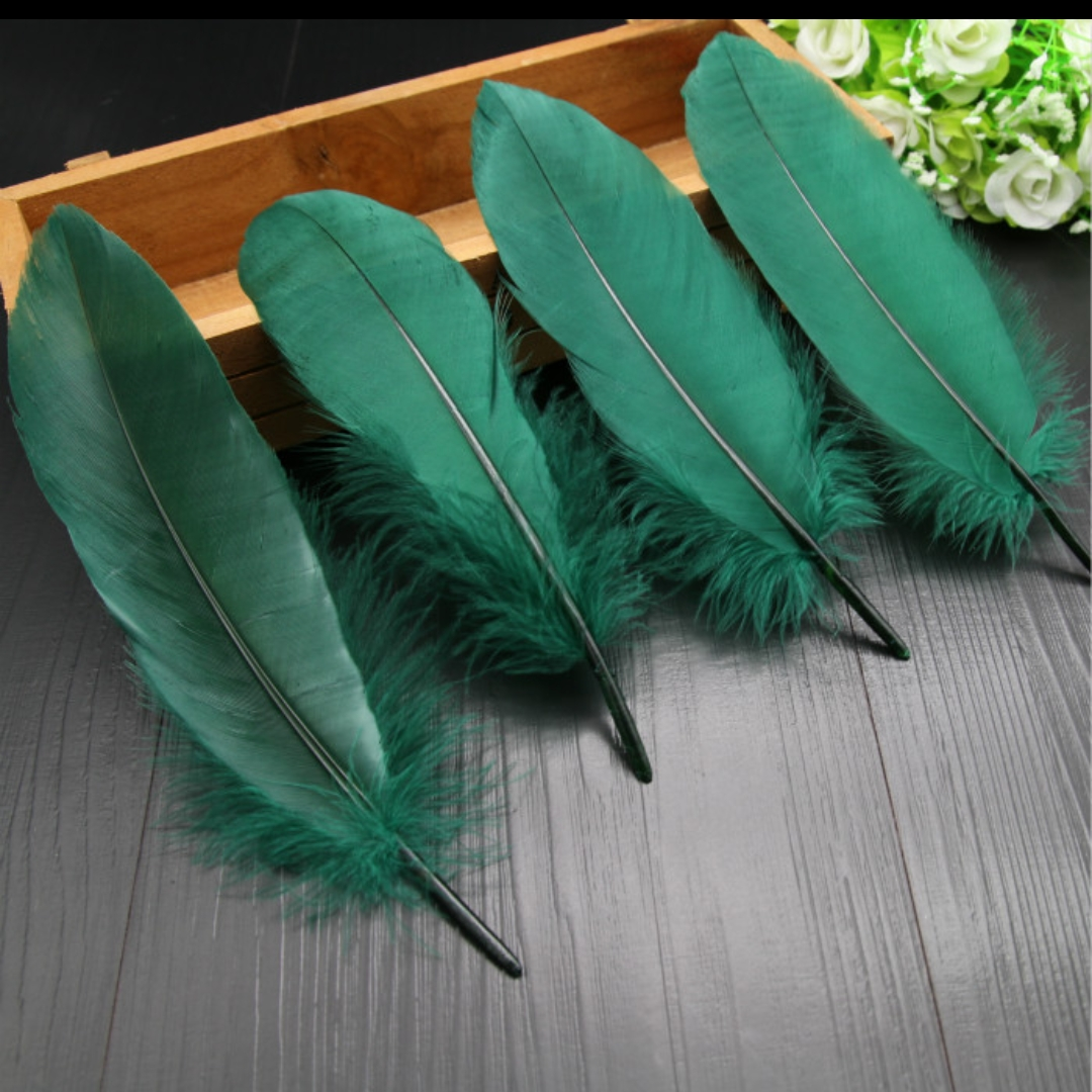 Goose feathers hard big with dark green