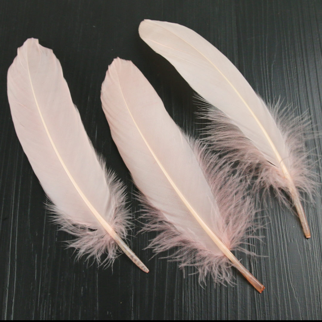 Goose feathers are hard, big and pink