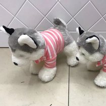 Dream plush toy manufacturers direct sales boutique dolls dressed Husky 1