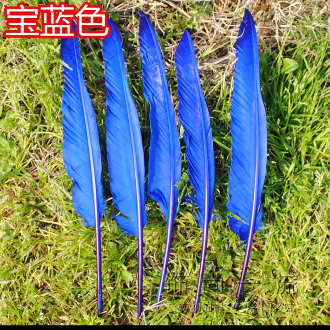 Goose blade feather 25-30cm royal blue