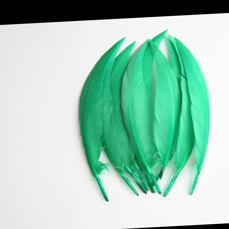 Goose scimitar feather green