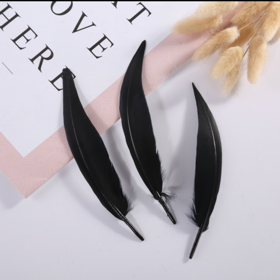 Goose scimitar feather black