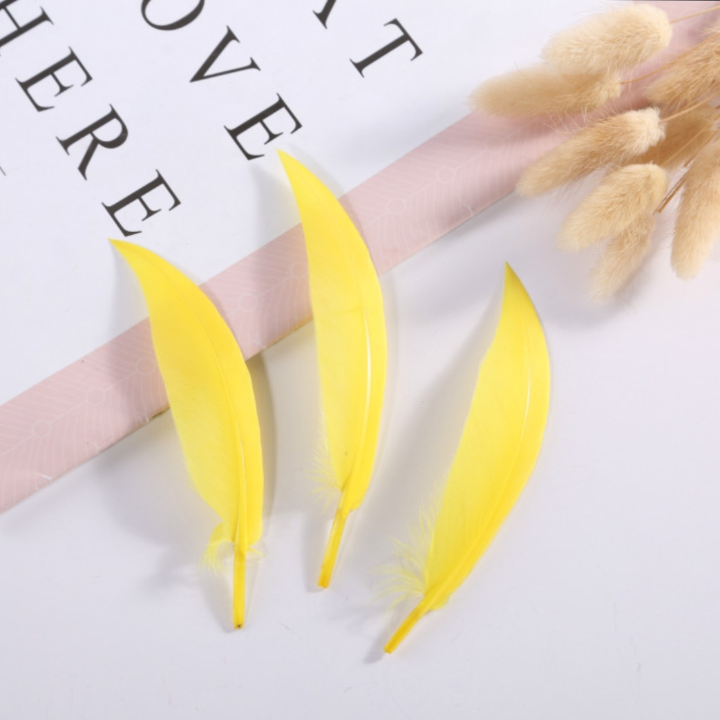 Goose scimitar feather yellow