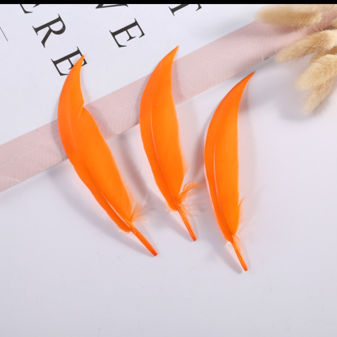 Goose scimitar feather orange
