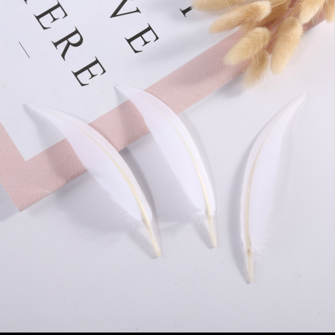 Goose scimitar feather white