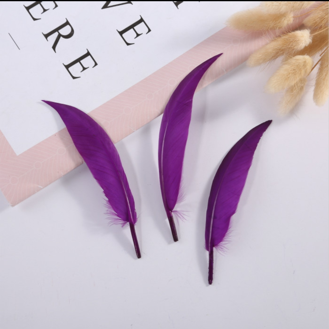 Goose scimitar feather