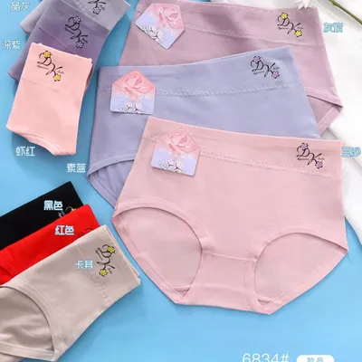 Girls Briefs 6834 Comfortable Breathable Soft Delicate Smooth Girls High Underwear