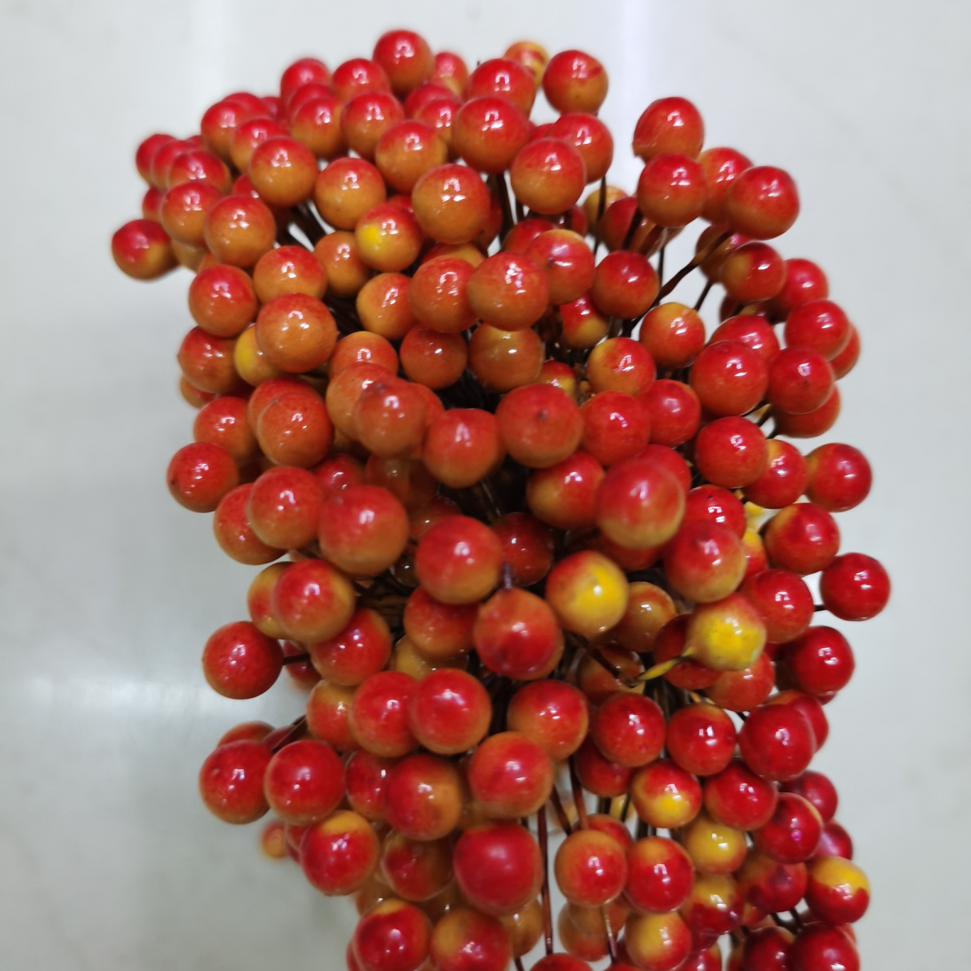 0.8 Bald fruit yellowish-red Polystyrene 01