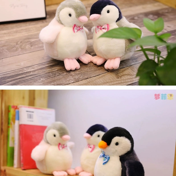 领结害羞熊公仔毛绒玩具熊玩偶布娃娃泰迪熊猫儿童七夕礼物三色