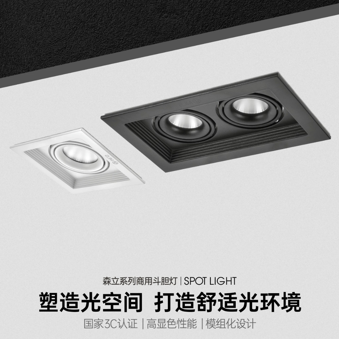 Mulinsen Senli Series grille Spotlights 15W dual-head
