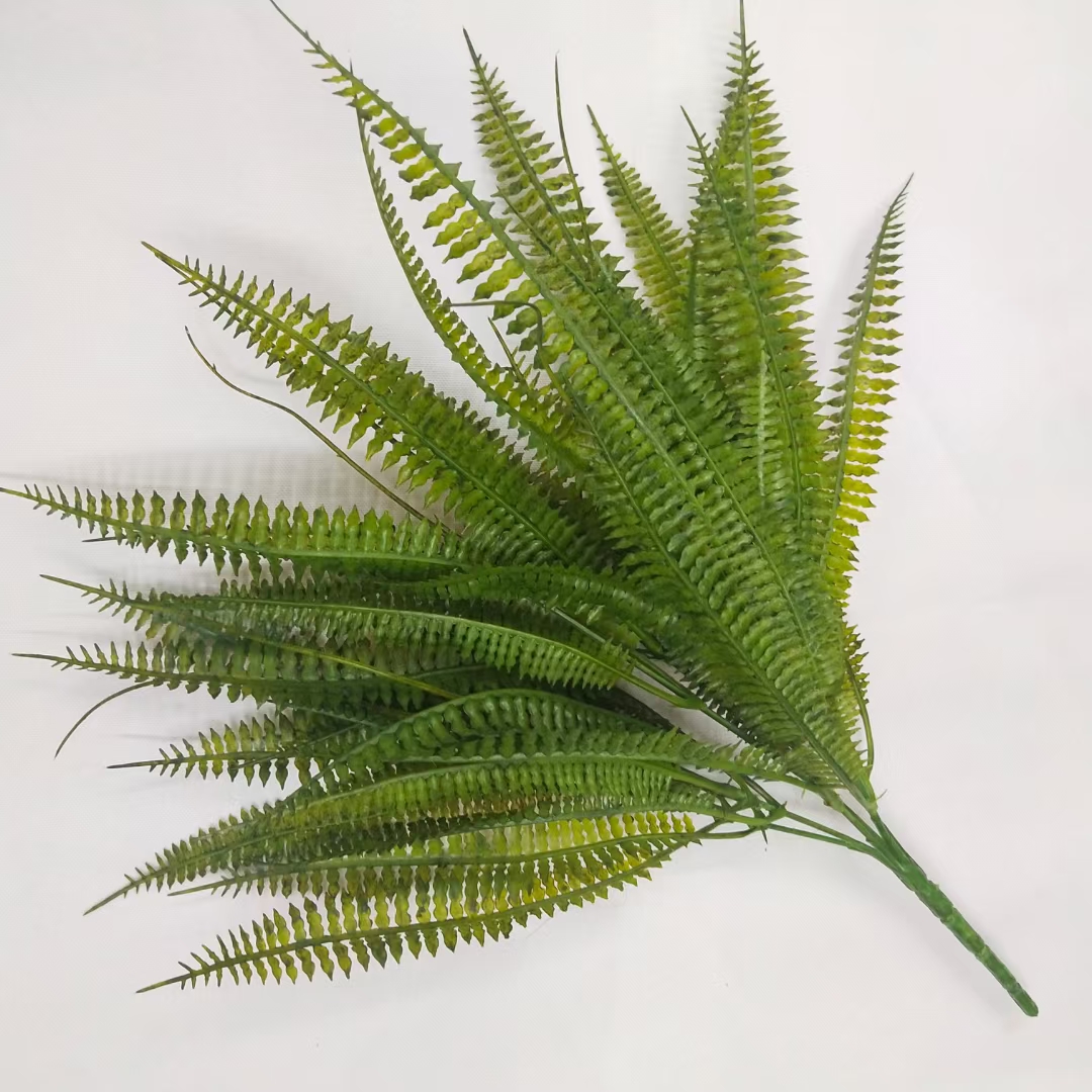 Small loofah leaves