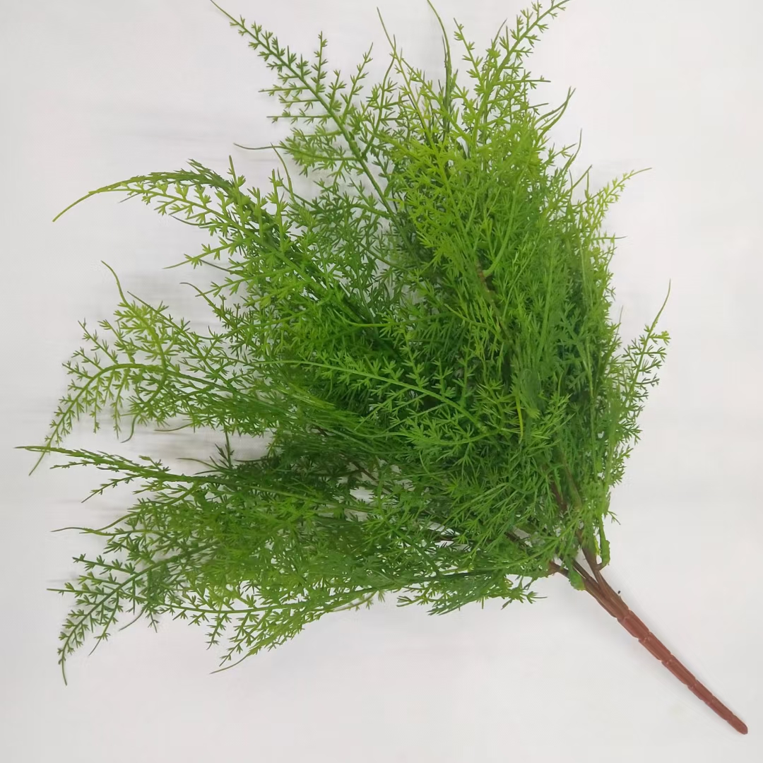 Meat seedling