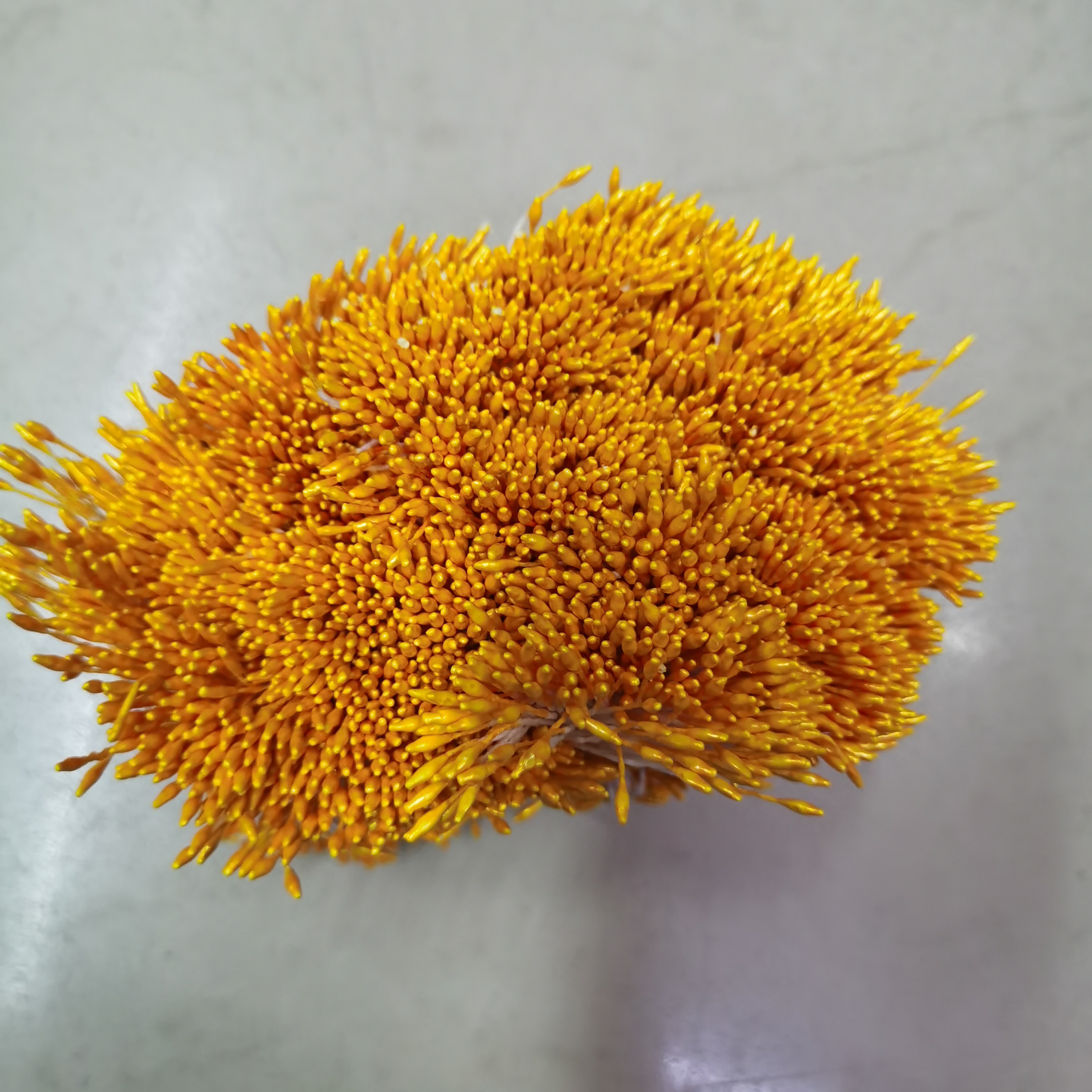 Zhu Guang 01 No. 17 Yellow Flower core Gypsum 01