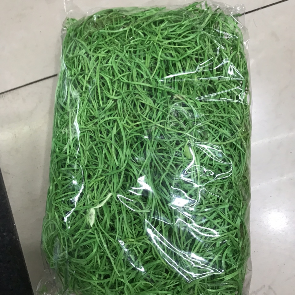 نشارة الخشب خضراء