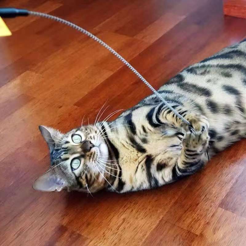 羽毛逗猫棒/宠物逗猫棒/玩具逗猫棒产品图