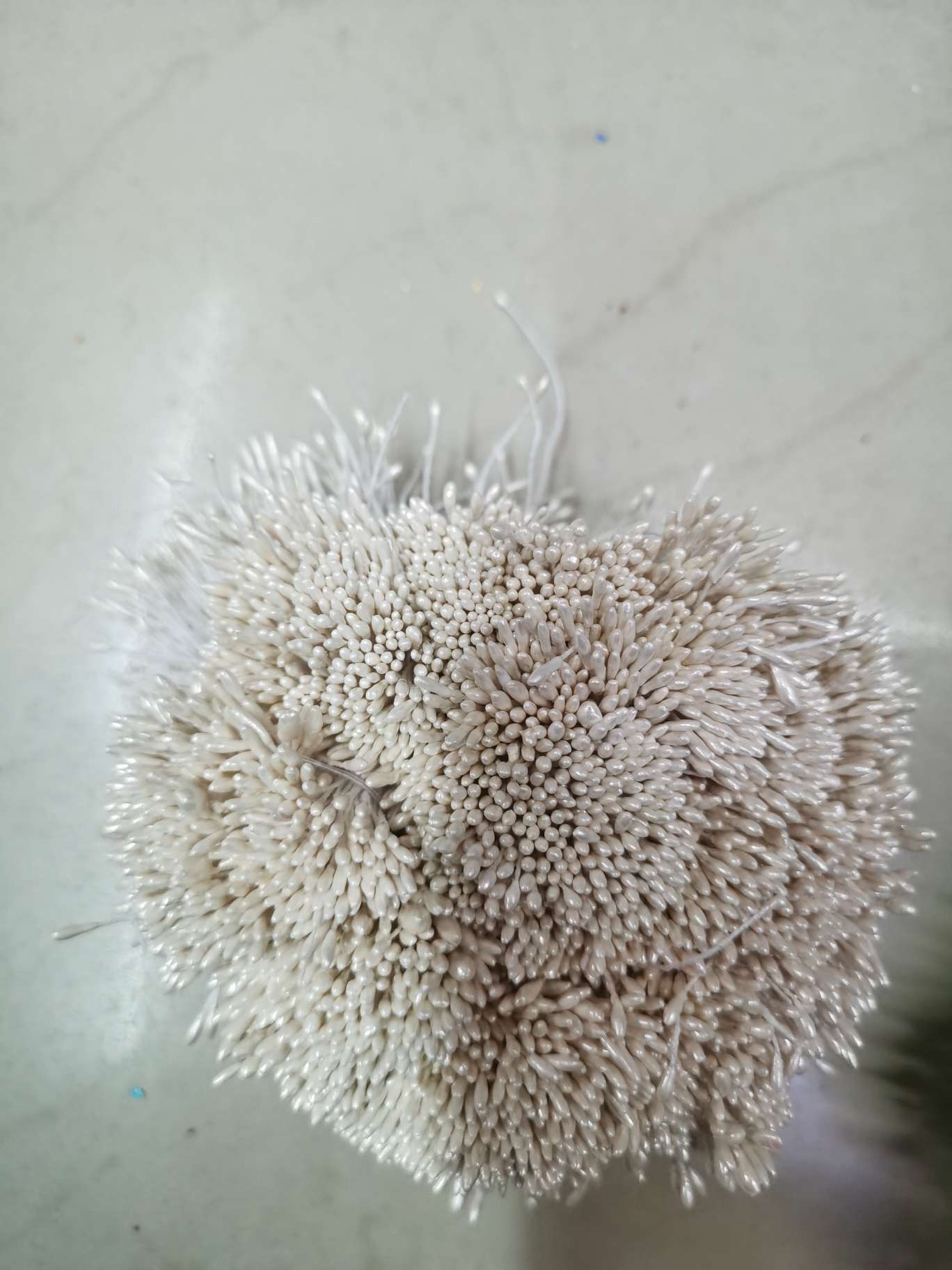 Zhu Guang 01 Shallow Snow Bud Flower Core Gypsum 01 pic 3