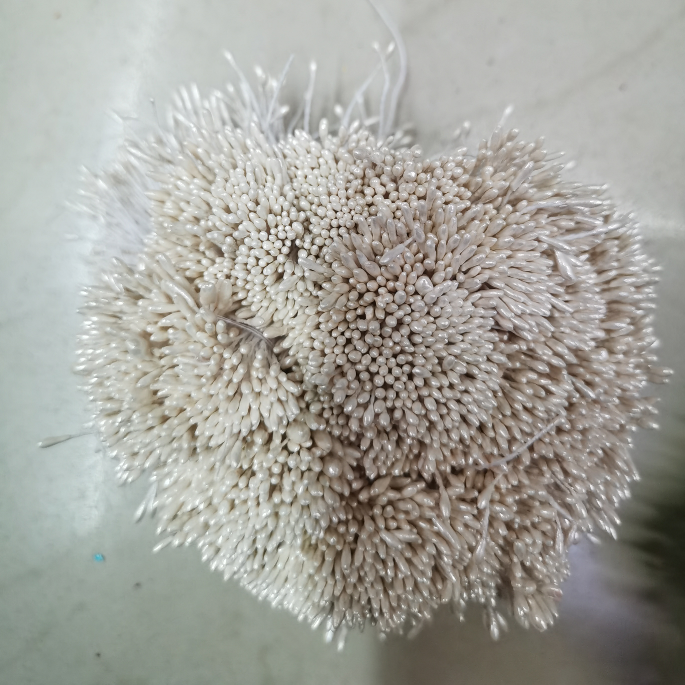 Zhu Guang 01 Shallow Snow Bud Flower Core Gypsum 01