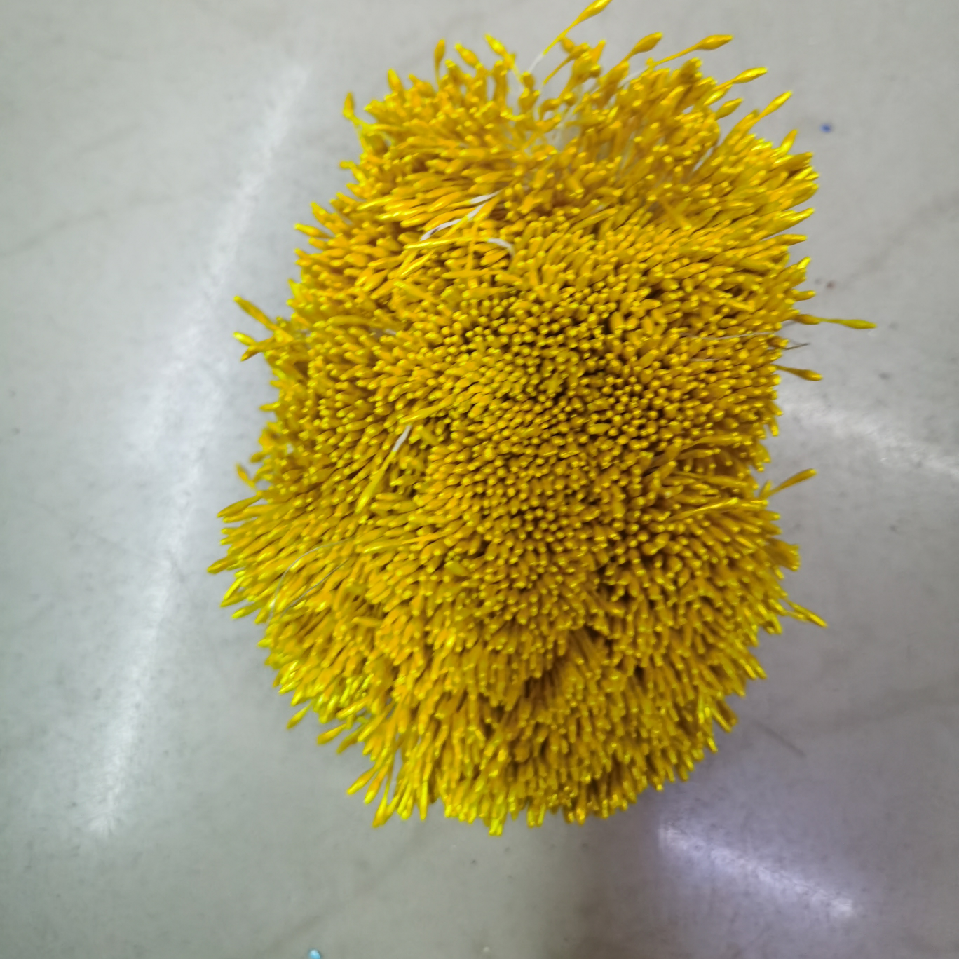 Zhu Guang 01 Yellow flower core Gypsum 01