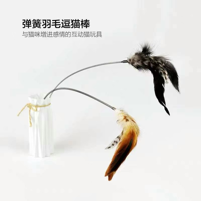 宠物用品！今日产品，田田猫弹簧羽毛逗猫棒，10送一，（活动22号截止）详情10