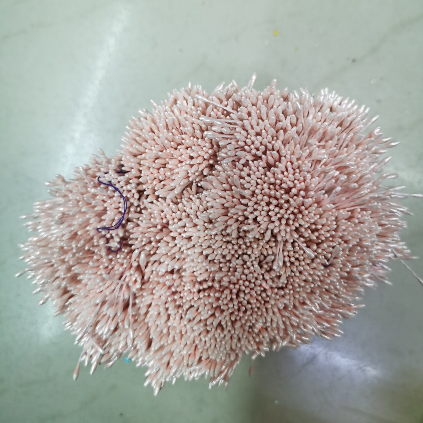 Zhu Guang 01 Deep Snow Bud Flower Core Gypsum 01
