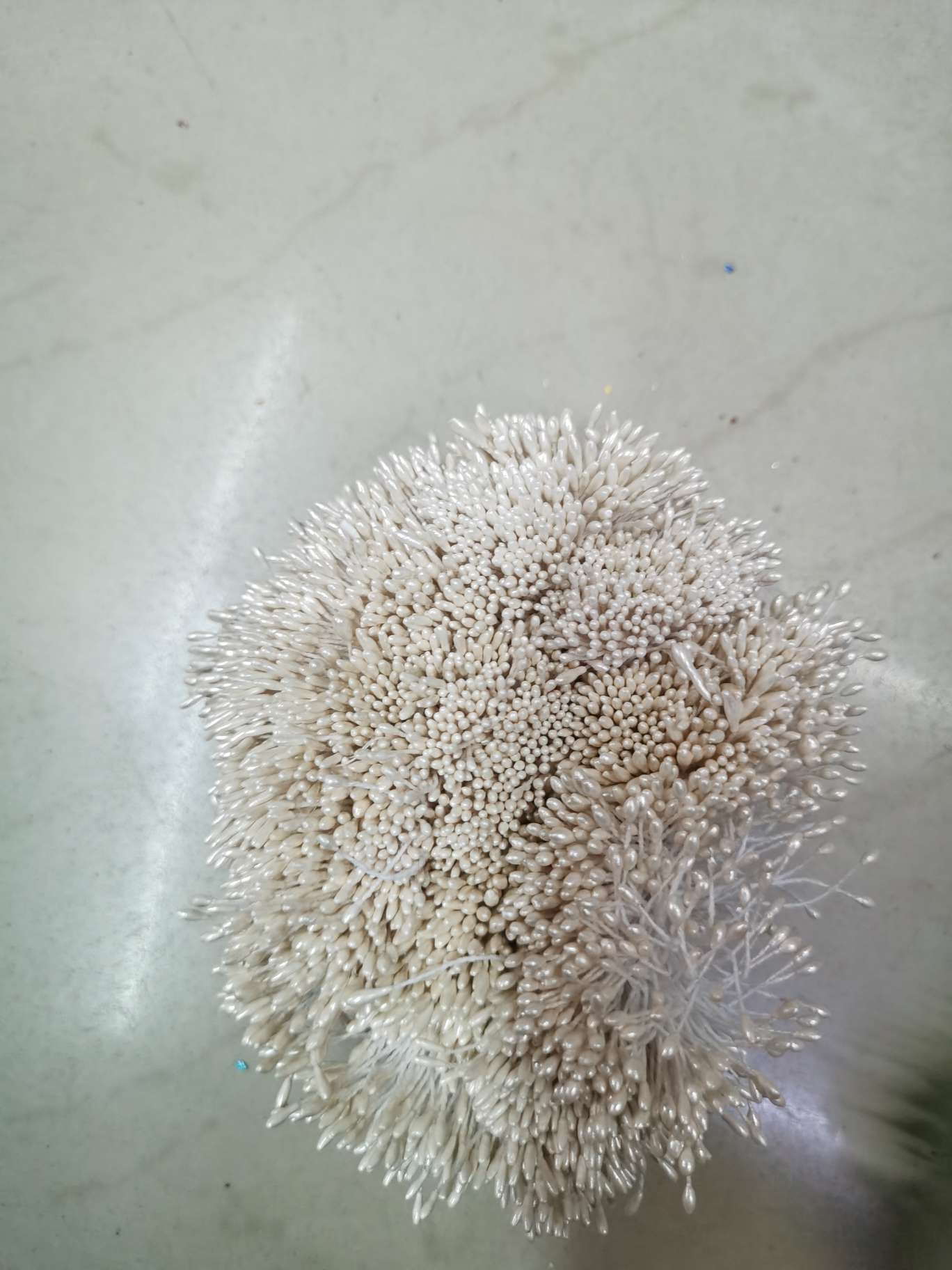 Zhu Guang 01 Shallow Snow Bud Flower Core Gypsum 01 pic 2