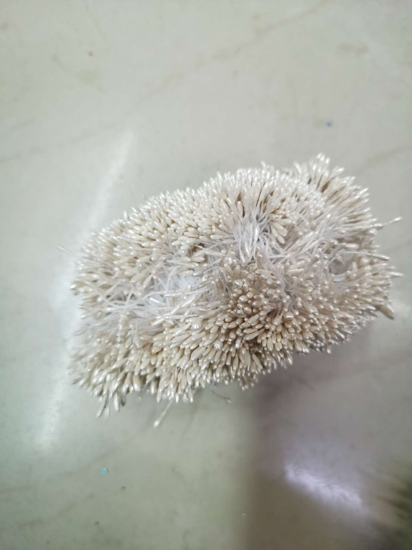 Zhu Guang 01 Shallow Snow Bud Flower Core Gypsum 01 pic 1