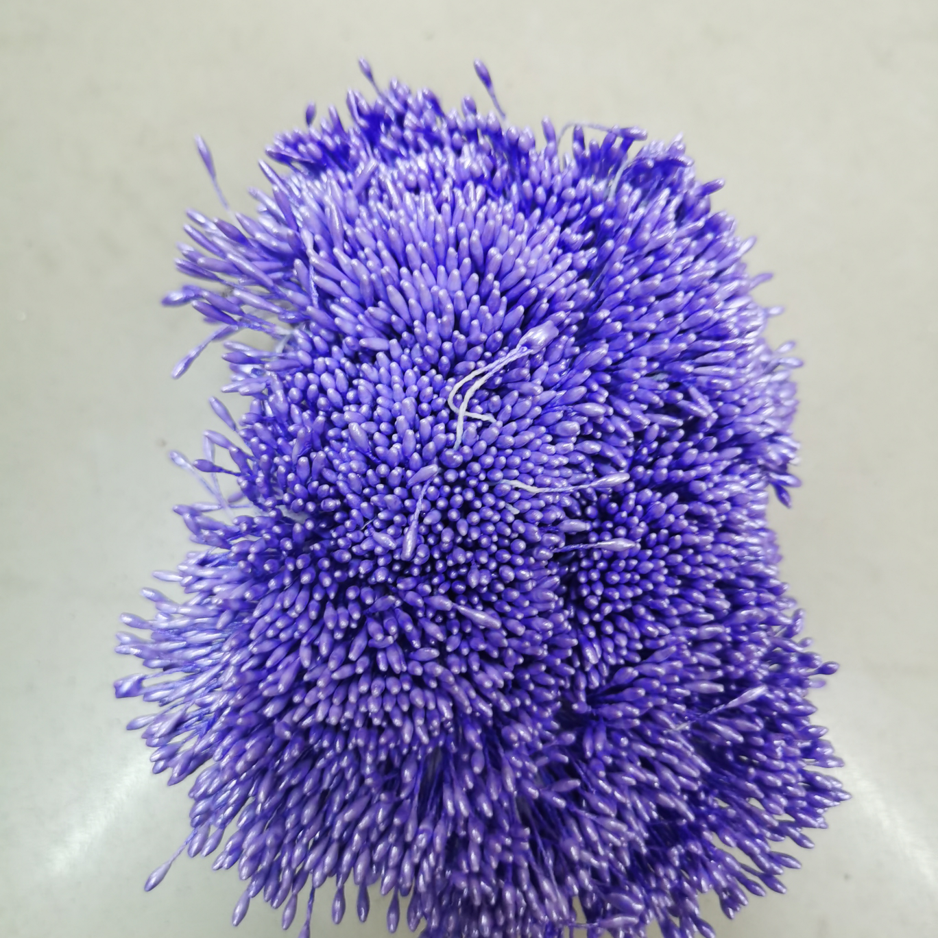 Zhu Guang 01 21 Purple flower core Gypsum 01
