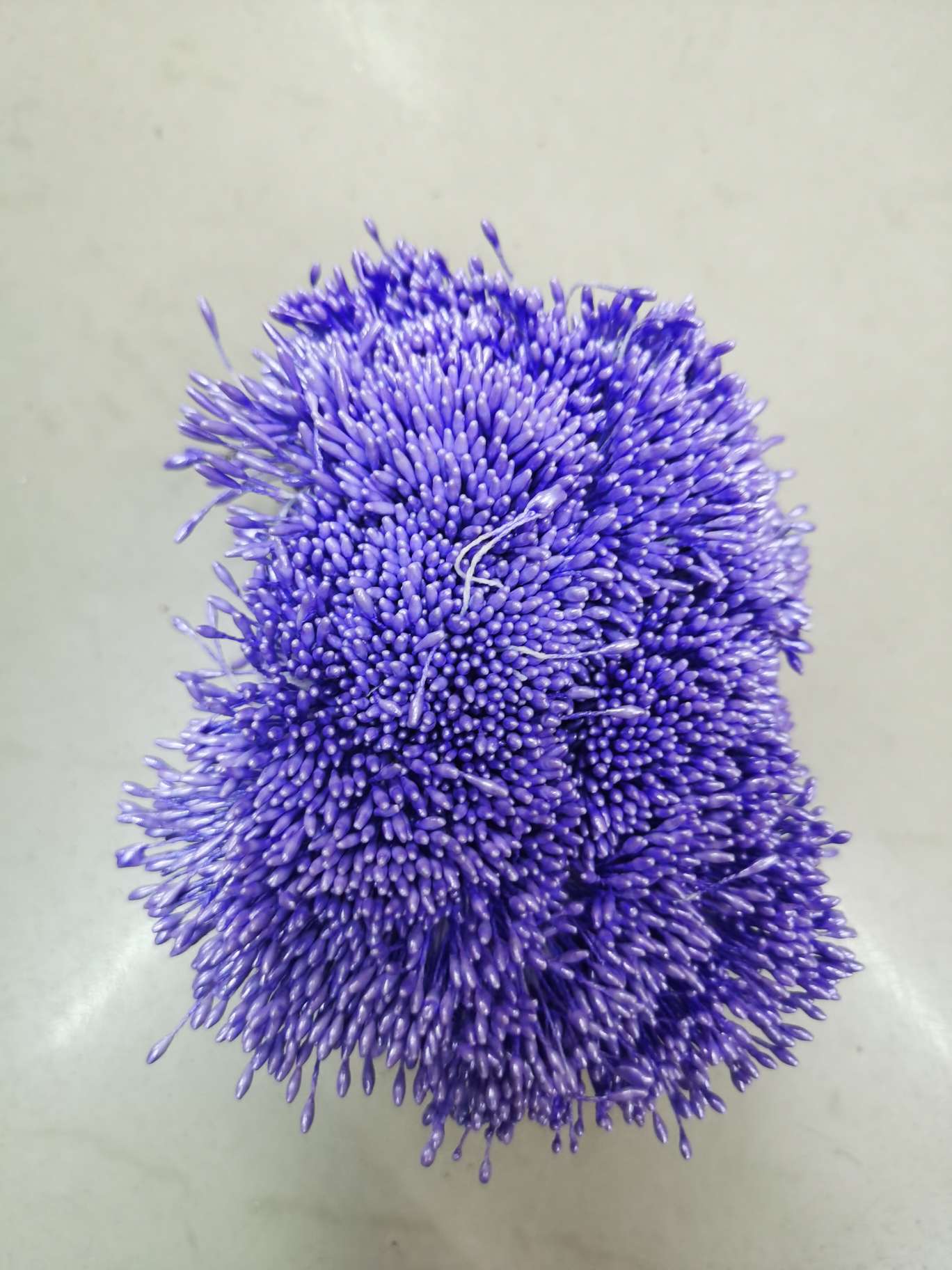 Zhu Guang 01 21 Purple flower core Gypsum 01 pic 3