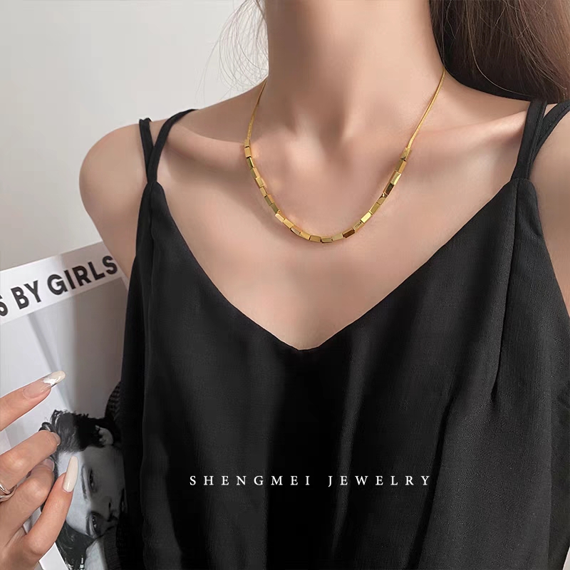 A small square snake bone chain necklace with a European and American design sense, a trendy 2021 new light luxury and niche collarbone chain for women on Instagram Item Picture