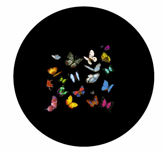 logo灯广告灯 工厂直销详情图1
