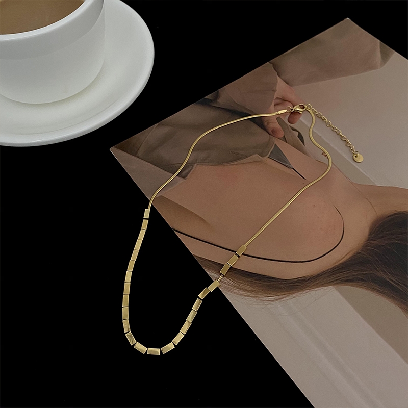 A small square snake bone chain necklace with a European and American design sense, a trendy 2021 new light luxury and niche collarbone chain for women on Instagram Application Scenario