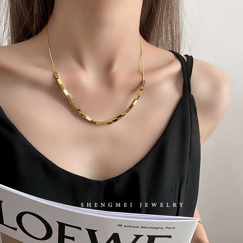 A small square snake bone chain necklace with a European and American design sense, a trendy 2021 new light luxury and niche collarbone chain for women on Instagram Specification image