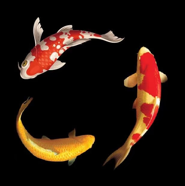 灯带 全彩带控制器可调光详情图3